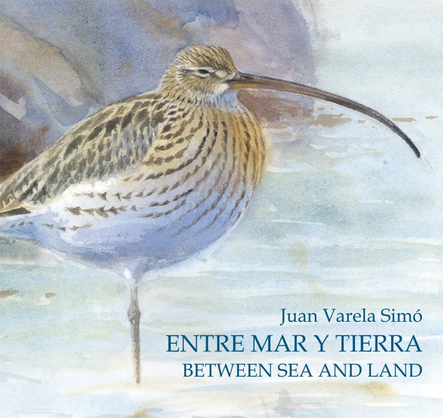 Entre Mar y Tierra / Between Sea and Land book cover image